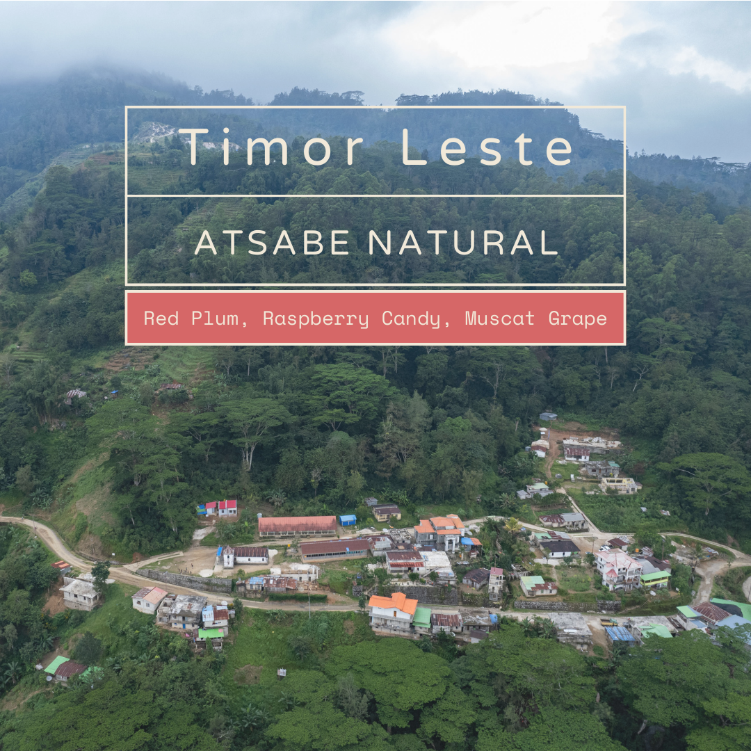 Timor-Leste Atsabe Natural (Espresso Roast) - Red Plum, Raspberry Candy, Muscat Grape