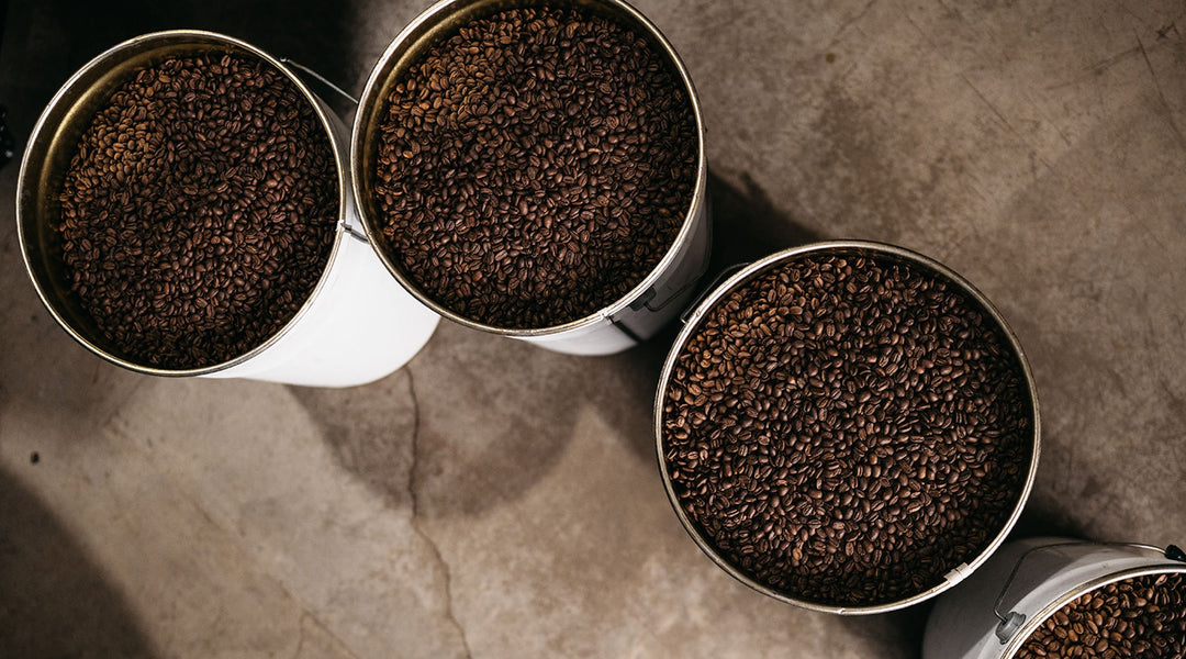 How Long Do Coffee Beans Last?