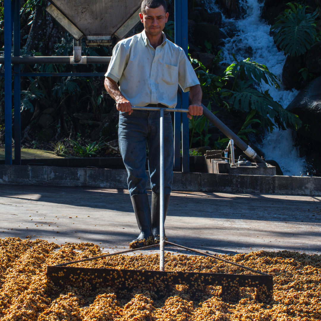 A Beginner's Guide To Processing