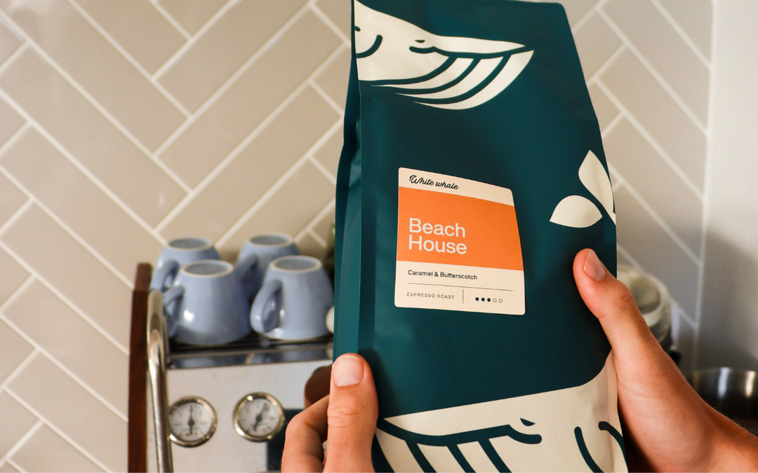 Our New Coffee Bags