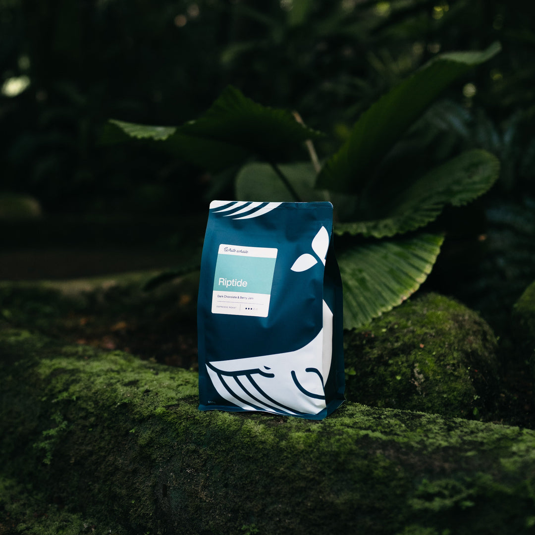 Brewing Riptide At Home: Our Go-To Espresso Recipe