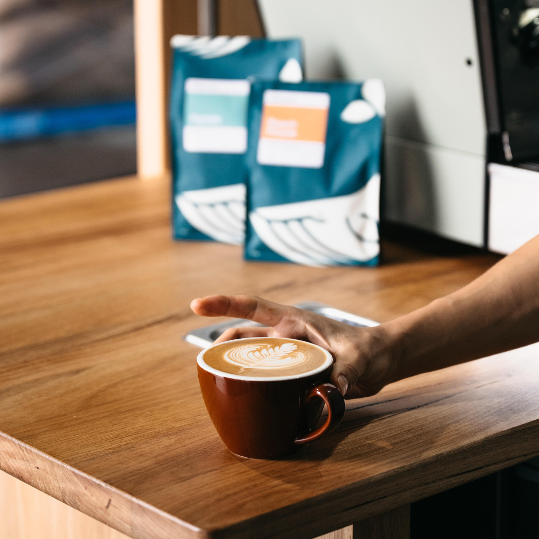 Milk & Latte Art Class