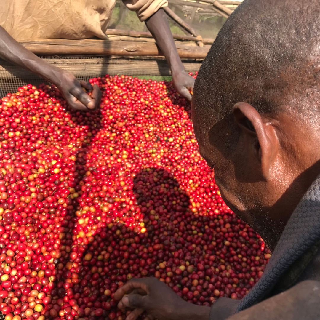 Burundi Kayanza Remera Natural