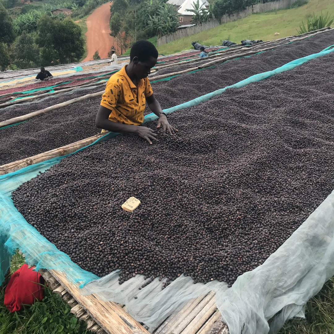 Burundi Kayanza Remera Natural