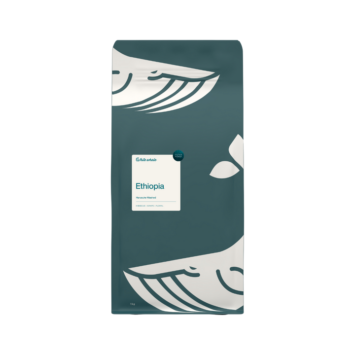 Ethiopia Harusuke Washed [Filter]
