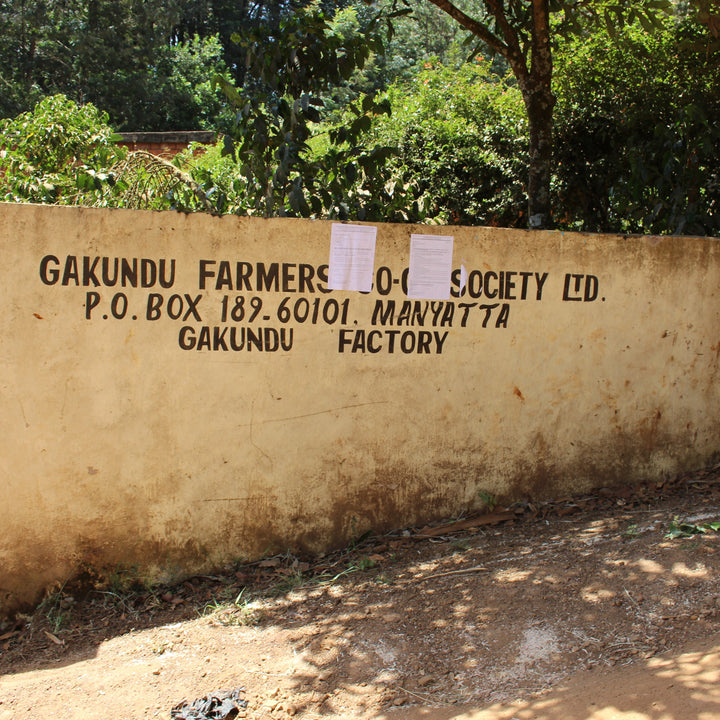 Kenya Gakundu AA Washed [Filter]