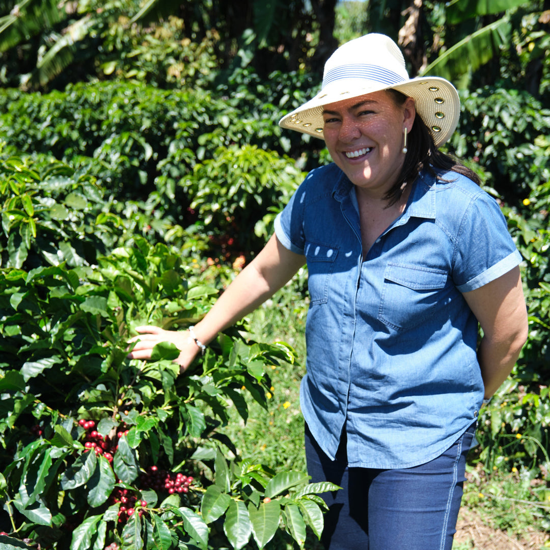 Costa Rica Las Lajas Honey