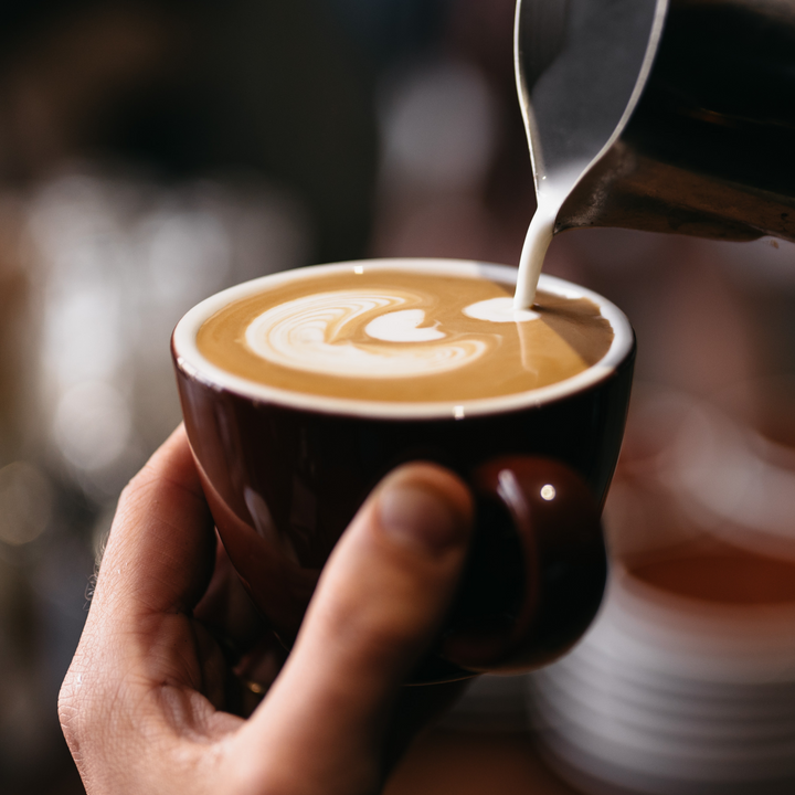 Milk & Latte Art Class