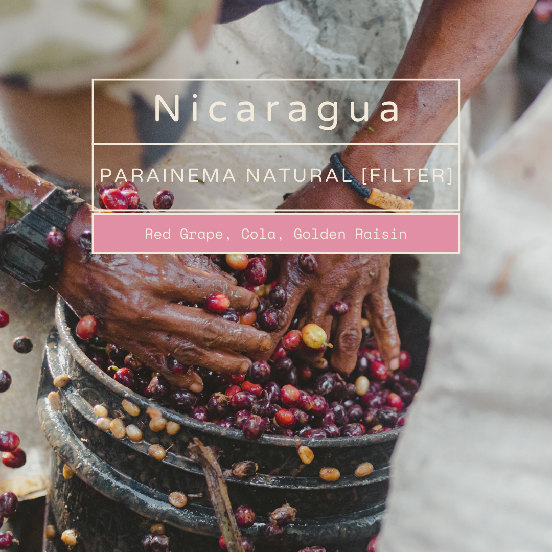 Nicaragua, Parainema Natural (Filter) | Red Grape, Cola, Golden Raisin