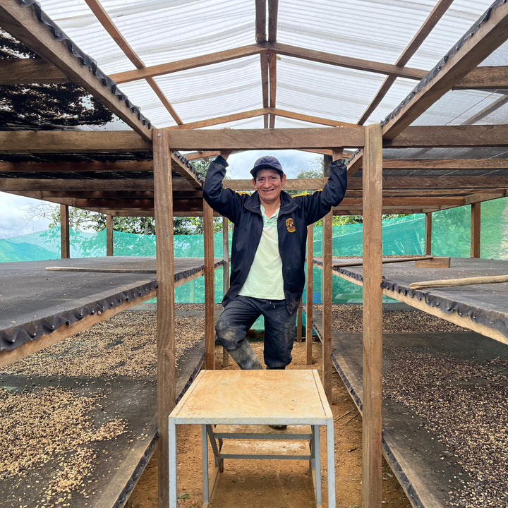 Peru La Danta Washed [Filter]