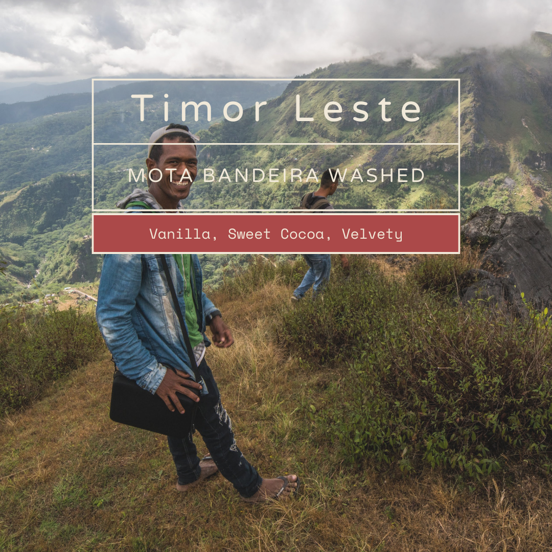 Timor-Leste Mota Bandeira Washed - Vanilla & Sweet Cocoa | Organic & Velvety