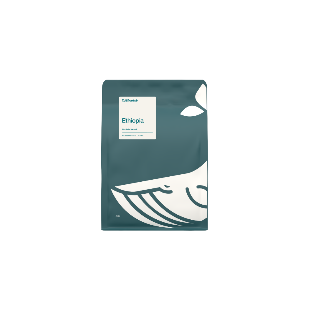 Ethiopia Hambella Natural