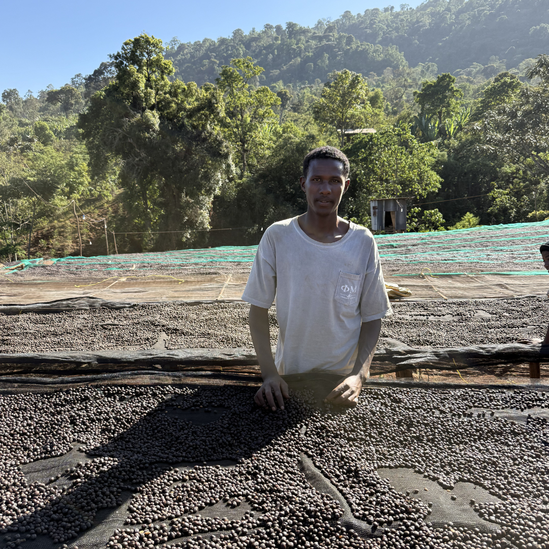 Ethiopia Yirgacheffe Danche Honey