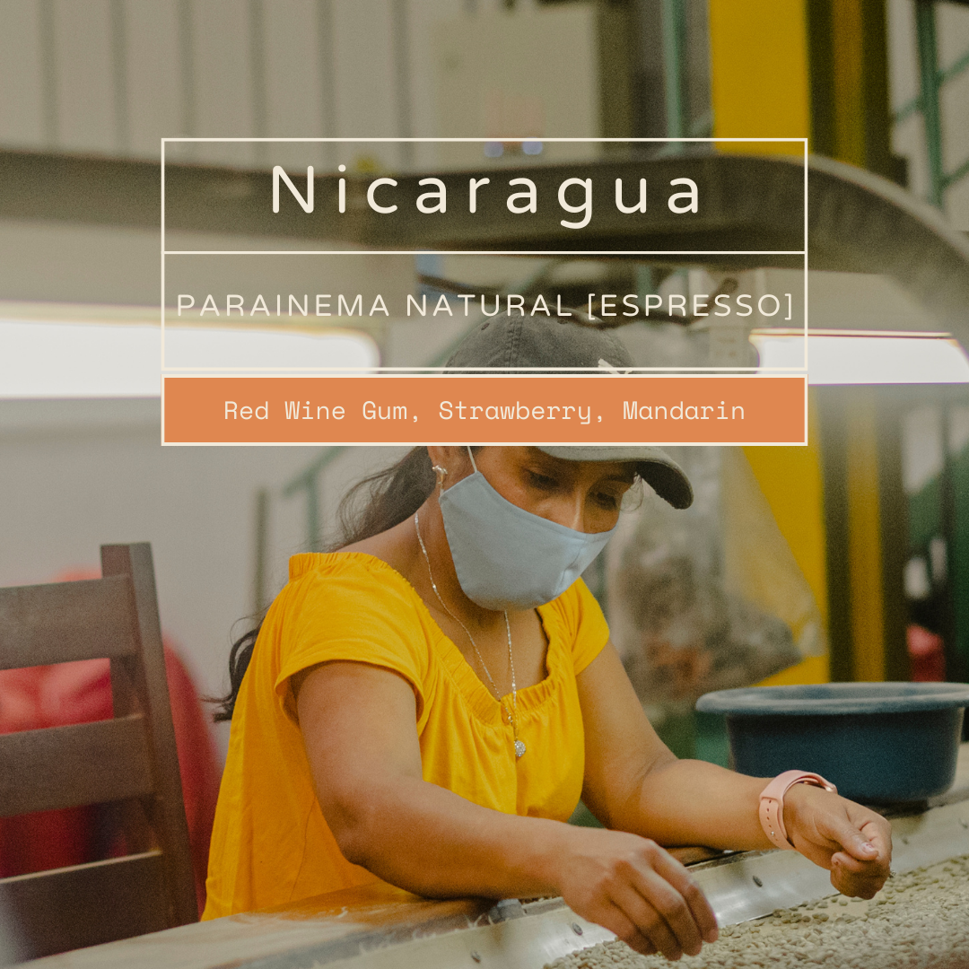 Nicaragua, Parainema Natural (Espresso) | Red Wine Gum, Strawberry, Mandarin