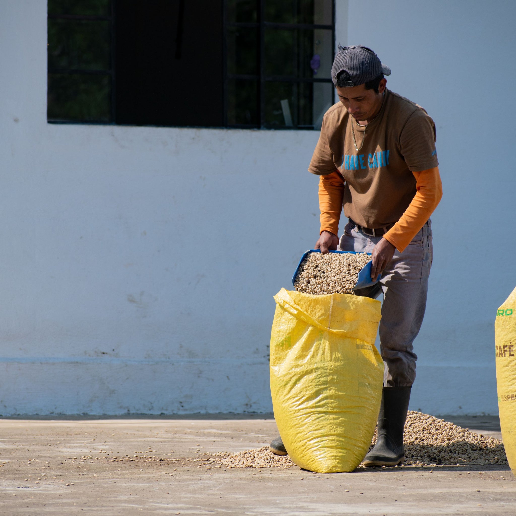 Guatemala - Santa Paula Natural