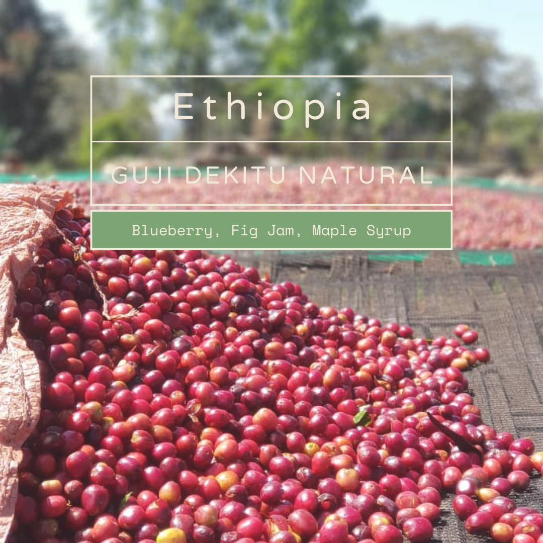 Ethiopia - Guji Dekitu Natural (Espresso Roast) | Blueberry, Fig Jam, Maple Syrup