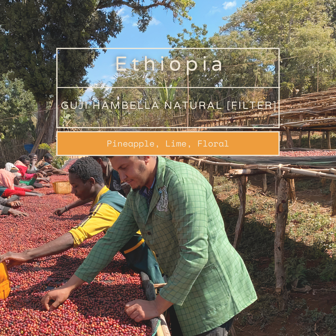 Ethiopia - Guji Hambella Natural [Filter]