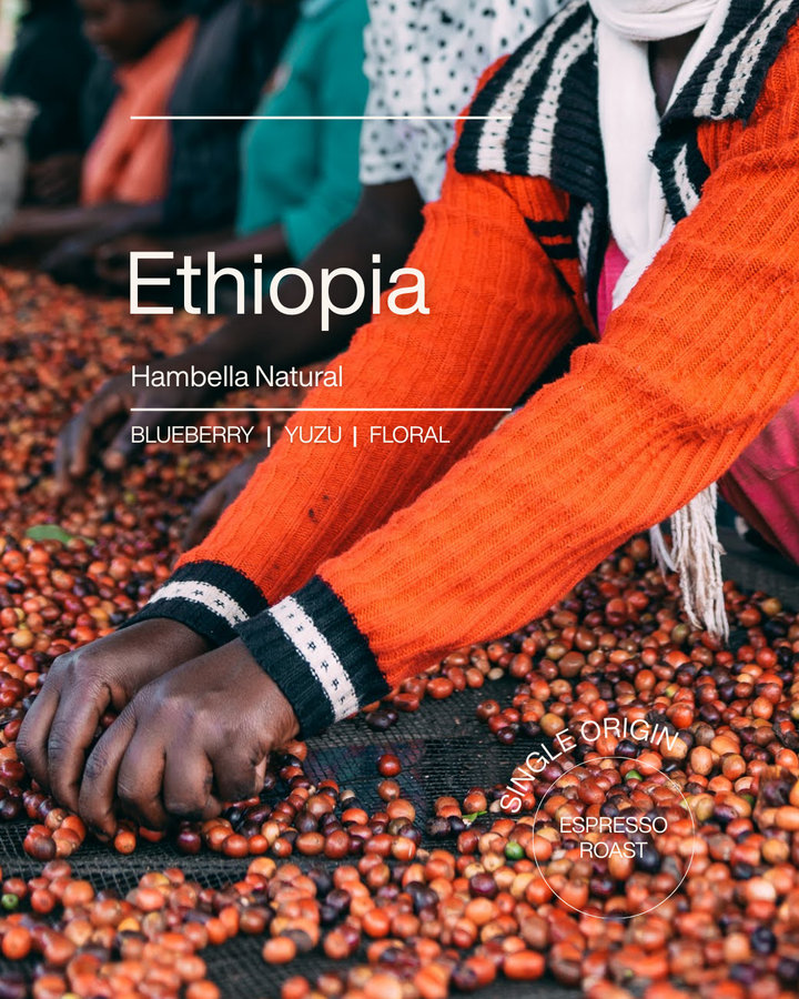Ethiopia Hambella Natural