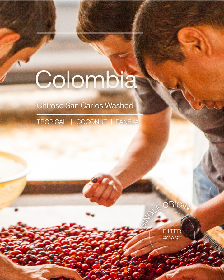 Colombia Chiroso San Carlos Washed [Filter]