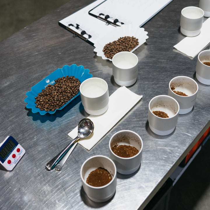 Public Coffee Cupping